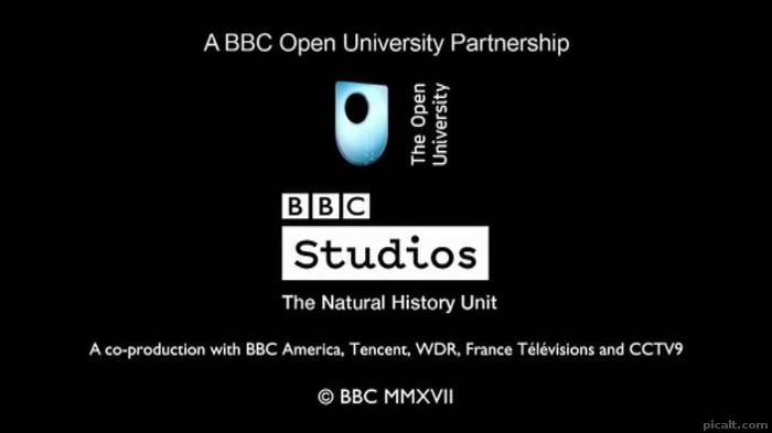 A BBC Open University Partnership BBC Studios The Natural History Unit ...